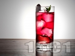 Passoa Cranberry       -   